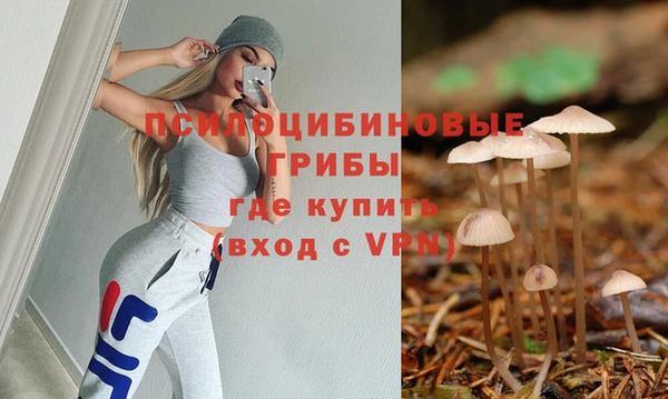 дмт Вяземский