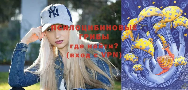 Псилоцибиновые грибы ЛСД  Киреевск 